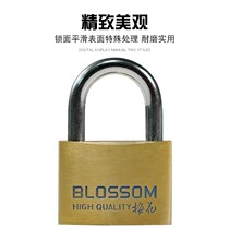Plum blossom copper padlock copper lock luggage lock door lock cabinet dormitory 20 25 35 45 55mm household waterproof padlock