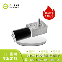 5840-3650 Brushless DC deceleration speed control motor High torque low speed motor 12v24 worm gear self-locking