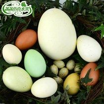 Simulation eggs egg duck eggs ostrich eggs quail eggs dome fake eggs model window photography props