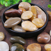 5 pounds of pebbles rain stone boutique