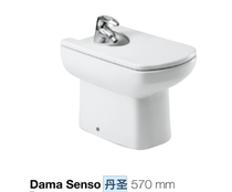 ROCA Le Jia Dan Sheng floor-standing toilet basin womens washer