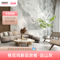 Dongpeng ceramic tile 1200x2400 rock slab background wall TV background wall living room light luxury modern 900x1800