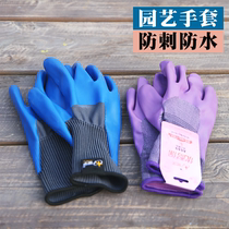 Gardening gloves stab-proof waterproof planting flowers weeding breathable protection wear-resistant non-slip anti-tie multi-functional labor insurance gloves
