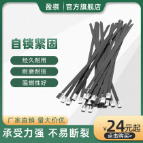 304 spray plastic stainless steel ties Black 4 6MM* 300MM metal ties Ribbon Outdoor cable ties
