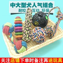Pet Toys Bite Resistant Brits Teddy Dogs Dog Toys Puppy Labrador Sound Training Ball