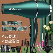 Hair dryer barbershop gale hair salon special high power 3000w strong wind w strong wind fast dry w