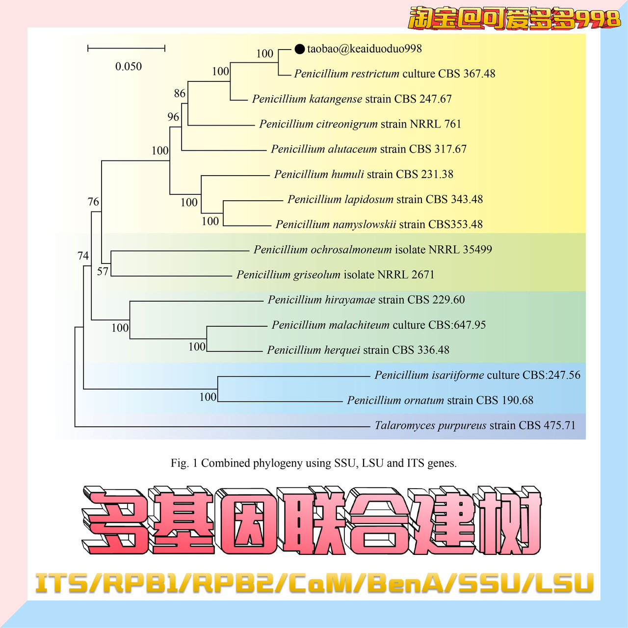 多基因联合建树精选和多基因联合建树品牌价格与图片-淘宝商品网