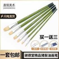 Xie Dotang 515 pig bristles gouache oil painting acrylic brush student paint pen set send pen box scraper Hook pen
