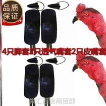 Prevent Rooster ringing chicken ringing mouth sleeve anti-snoring chicken mouth cover fighting chicken domestication supplies protective gear foot cover