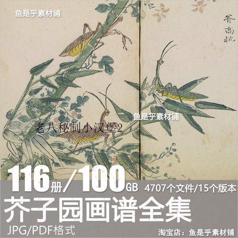 康熙芥子园画传-康熙芥子园画传促销价格、康熙芥子园画传品牌- 淘宝