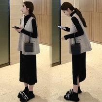 Korean maternity wear autumn suit fashion style Foreign style cover belly thin not show long skirt pregnant woman dress tide