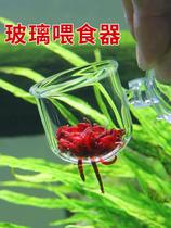 Glass red worm feeder fish tank feeding circle Frozen harvest shrimp feeding fish Floating cup Small artifact suspended transparent