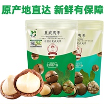 Macadamia new summer fruit mother nuts bulk box 5 kg 1 kg original Yunnan pregnant women dried fruit snacks