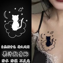 Травяной сок звездное небо облака кошка клёвая татуировка с долговечной водонепроницаемой рукой ключица наклейка кошачьи когти