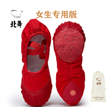 North Dance Cat Paw Softbottom Shoestring Leather Head Ballet Dancer Shoes Children Women Soft-bottom Practice Shoes Chinese Folk Dancing Shoes