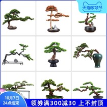 New Chinese simulation green plant potted ornaments model room tea room soft decoration porch TV cabinet tea table ancient shelf