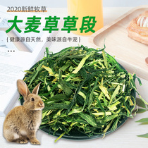 3 packs 2021 barley grass section Hay forage 400g Dutch pig guinea pig guinea pig rabbit