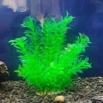 The decorations in the fish tank are simulated by the aquatic plants.