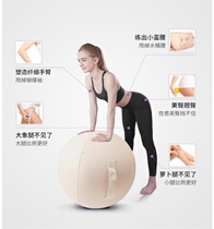 Pilates sports equipment household cotton and linen sports pregnant women stretch anti-dirty yoga ball set yoga ball chair