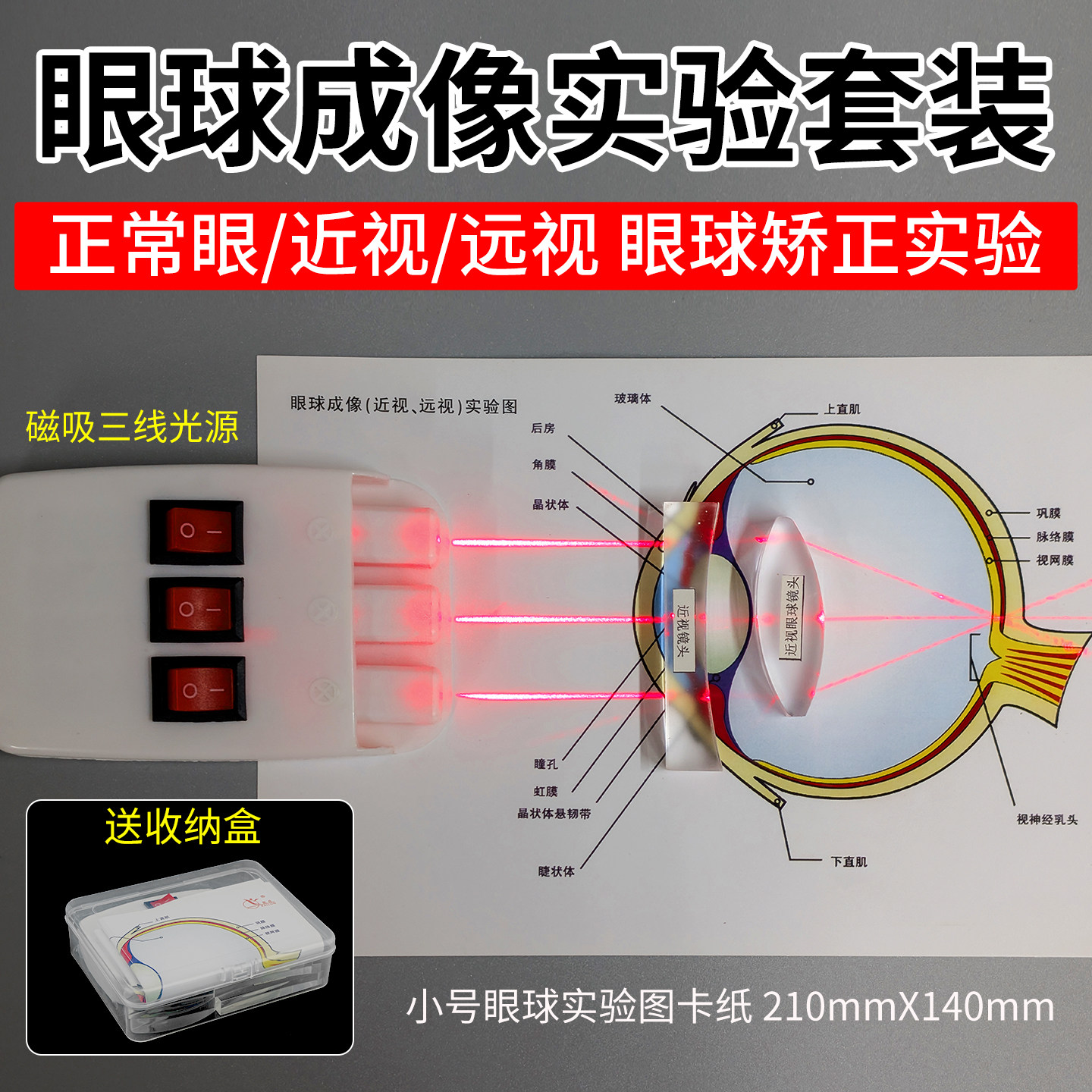 眼模型-眼模型促销价格、眼模型品牌- 淘宝