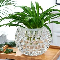 Hydropony ware Creativity Glass Flower Pot water raising plant Bottle transparent florin green Bronze Money Grass Vase Round container