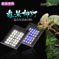 New style REPTIZOO tortoise back lamp scorpion guard horned frog small ecological box crawling pet controllable light LED lamps