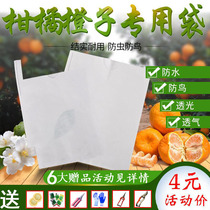Citrus special bag Orange Mango carambola orange untiring fire loquat bag strawberry cherry cherries peach bag