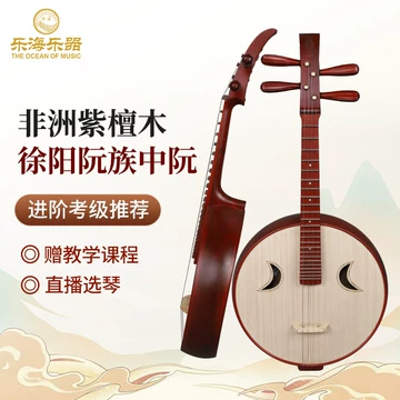 乐海中阮512z-乐海中阮512z促销价格、乐海中阮512z品牌- 淘宝