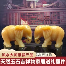 Jade fortune elephant ornaments a pair of town houses new Chinese living room office porch gifts decorations absorbent elephant