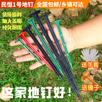 Plastic nails thickened and extended orchard art cloth nails Pull branches fixed greenhouse film weeding cloth Grass cloth nails