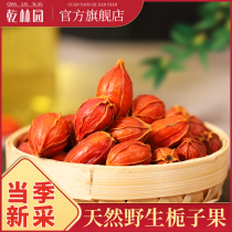 Gardenia tea yellow Gardenia mountain Gardenia red Gardenia red gardenia can be beaten powder color edible braised meat gardenia fruit