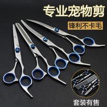 Pet Hairdresser Teddy Hair Beautician Scissors Hair pooch Hair Pooch Tool Trim Tool Trim Shave Hair Styling