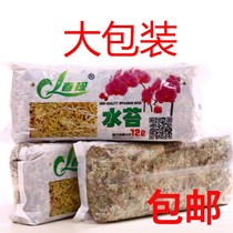 Orchid cultivation dry water moss 12L high quality orchid soilless culture medium moisturizing butterfly orchid special