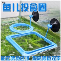  Fish tank feeding ring Anti-floating fish food floating feeding ring Non-automatic fixed feeding area