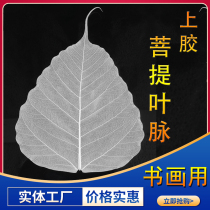 Natural Bodhi Leaf Vein Craft Sticking Leaf Material Painting and Calligraphy Leaf Vein Pulp Leaf Vein Sizing