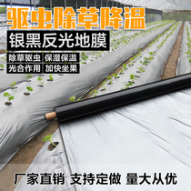 Black and White mulch silver black two-color reflective weeding agricultural mulch vegetable Orchard dustproof thickening moisturizing plastic film