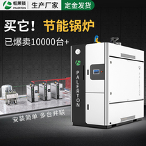 Palaidon steam generator 4T natural gas steam boiler fully automatic Industrial two-ton large oil-fired boiler