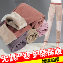 Middle-aged and elderly warm womens pants thickened and velvet winter mother cotton pants Old autumn pants leggings