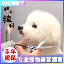 Pet Scissors Beauty Cut Pooch Teddy Cut Dog Hair Fur Tool Suit Straight Cut Teething Cut Tooth Cut Cut Cut Short