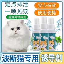 Persian Cat Special Kitty Happy Water Cat Mint Spray Inducers Perfume to tease the cats head interactive play appeasement