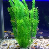Fish tank landscape water grass simulation rear landscape high water grass plastic fake water grass soft environmental protection do not fade fish tank decorations