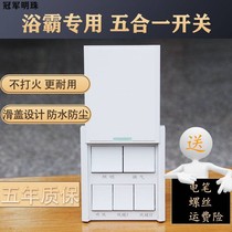 Bath Bath Switch integrated ceiling heating fan 86 type 5 open bathroom bathroom exhaust fan lighting in one