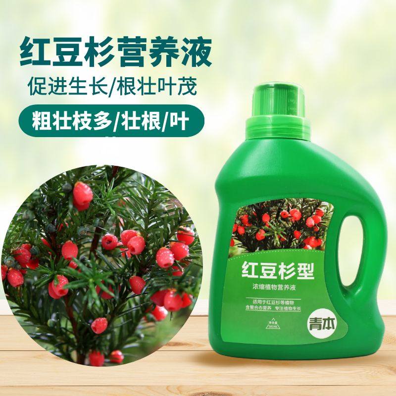 红豆杉功效-红豆杉功效促销价格、红豆杉功效品牌- 淘宝