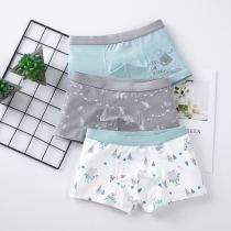 Childrens underwear cotton boys underwear summer boxer underwear boys underwear autumn and winter baby middle child shorts Spring
