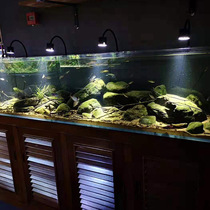 Clear water wind and LED fish tank spotlight South America Three Lakes native aquatic tank spotlight led spotlight small landscaping aquarium