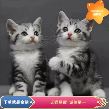 花狸猫-花狸猫促销价格、花狸猫品牌- 淘宝