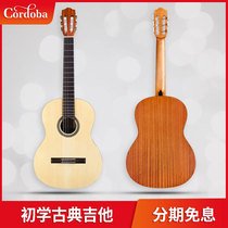 Cordoba Cordoba C1M Acoustic rounded 39 inch travel beginner classical guitar jita