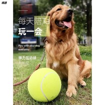 Pet tennis dog toy ball resistant to bite molars rubber ball Labrador side toy puppy