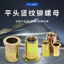 Flat head vertical grain rivet nut pull rivet nut iron plated zinc large edge knurled hat color flat head vertical stripe nut