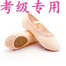 Boutique adult childrens dance female soft bottom practice Mens ballet belly dance Cat Claw body dancing shoes examination